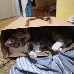 翻篇（Prod EVOMUSIC）