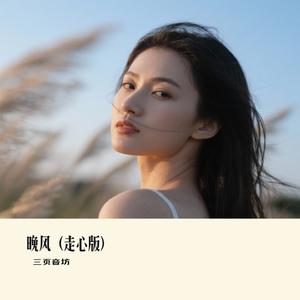 晚风（走心版）（Cover 云南三怪）