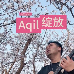 Aqil绽放 双语版 --小龙jurat版本