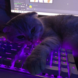 anime phonk 2 (Nightcore Remix)