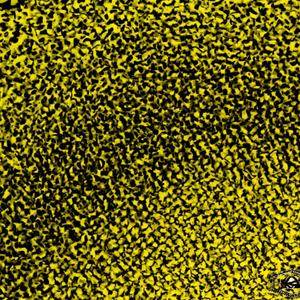 studio kam jedenáctého druhý dva šest