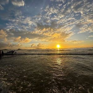 侧脸·2024（DJ张灵玉版）