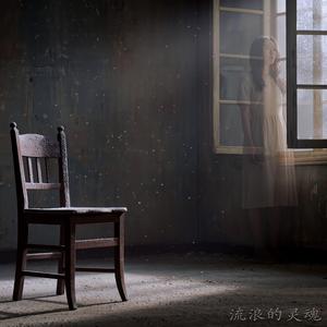 流浪的灵魂 (另词版)