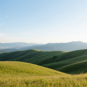 Lurus Bayangan Lentera