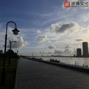 秋叶飘落在远方