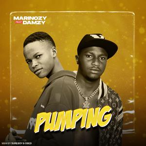 Pumping (feat. Marinozy)