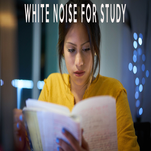 Special Panning Blue Noise