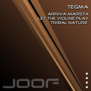 Tribal Nature (Original Mix)