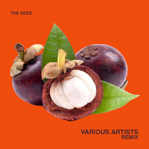 Say Heck No (Audio Bigot Remix)