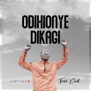 Odihionye dikagi