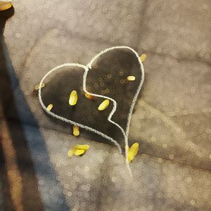 I don't know(part.2)