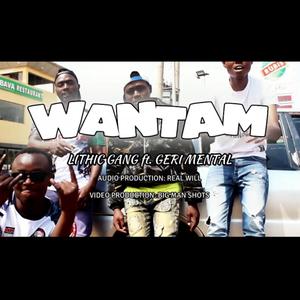 WANTAM (feat. Lithic Gang)
