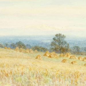 REDACTED 0X. 2X. 20XX. 'over' epilogue