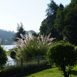 亲生女儿2.0 1 - 2022_2_13 下午2.15