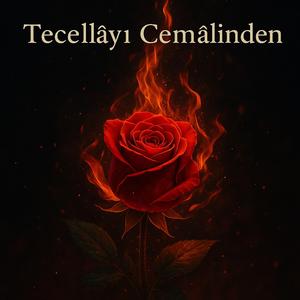 Tecellâyı Cemalinden
