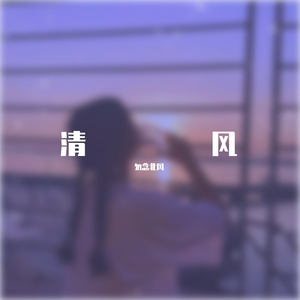 婷之-皇朝中我指路为马（勿念北风 remix）