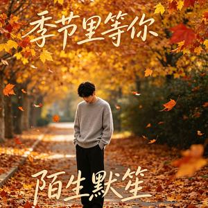 季节里等你