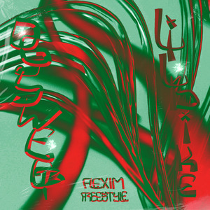 Flexim Freestyle