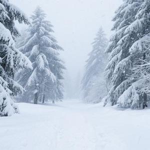 雪花飘飞的冬天 (Live版)