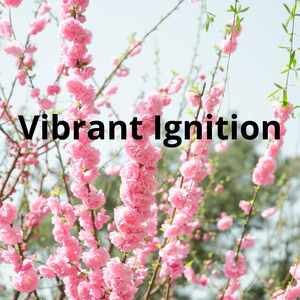 Vibrant Ignition