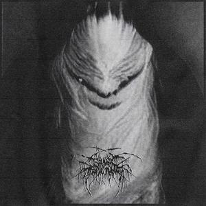 I should have killed you