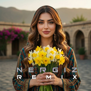 Nergiz (Remix)