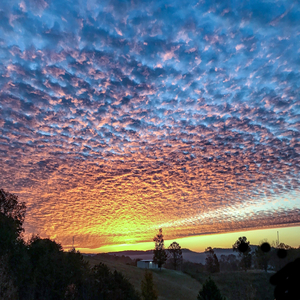 Нічна пісня