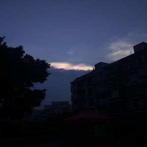 有关一个戛然而止的夏天