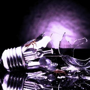 Incandescence