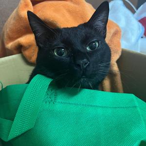 我曾經是試圖殺死自己的人 (feat. 冰山言的夜)