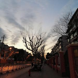 Old Town Road(Remix) 冬日残阳-（翻自 Josh Vietti）