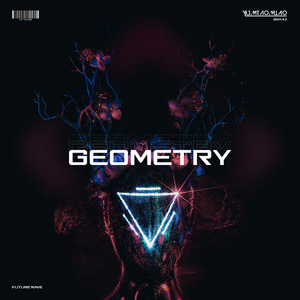 Geometry