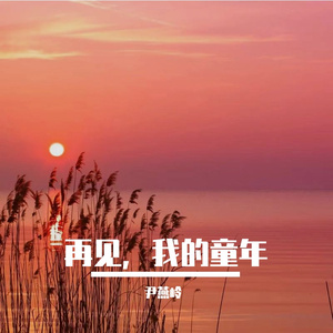 再见，我的童年