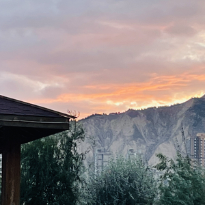 感谢你曾来过-1.wav