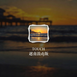 TOUCH 越南鼓dj版