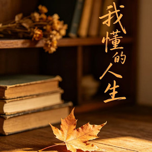 我懂的人生