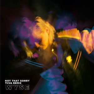 Not That Sorry (Tiiva Remix)