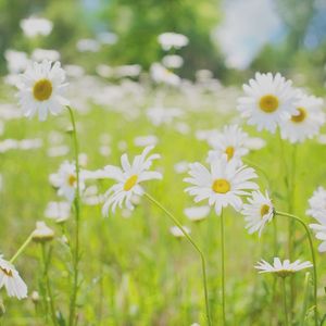 一尘不染下班以后印象数