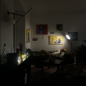 Filmriss