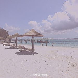 柔和的巴哈马时刻