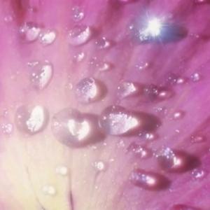 back in that mode freestyle (feat. g.t.m jon)