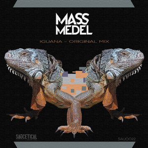 Iguana (Original Mix)