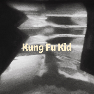 功夫小子Kung Fu Kid