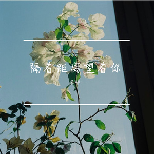 隔着距离望着你