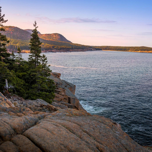 忘记不了的 会梦见的