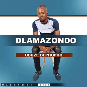 iRent (feat. Potso Ngobese)