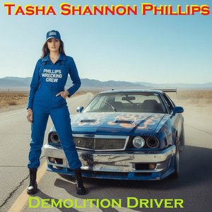 Demolition Driver