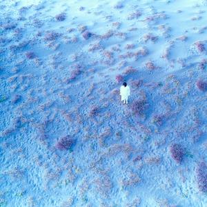 こだまでしょうか