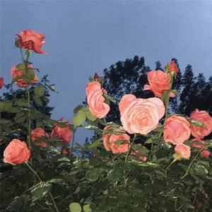 后来自己