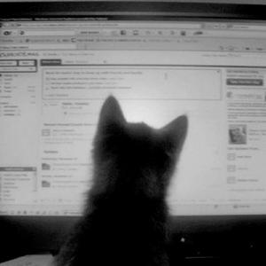 那夜之后我们再也没有以后